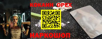 гашик Будённовск