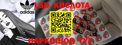 гашик Будённовск
