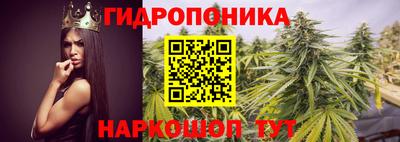 гашик Будённовск