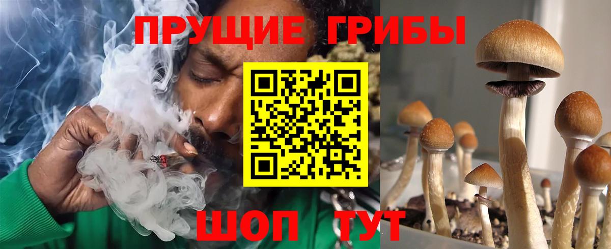 Галлюциногенные грибы Psilocybe  Вход с VPN  Скопин 